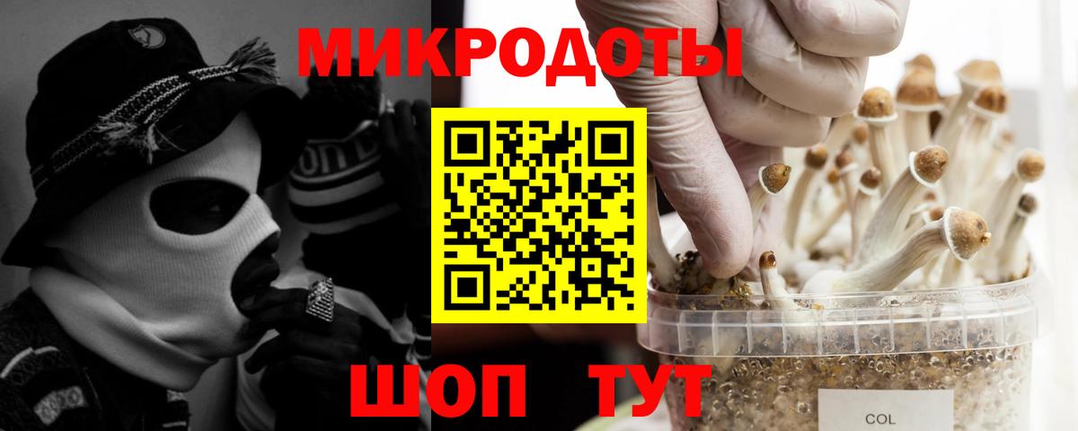 Псилоцибиновые грибы MAGIC MUSHROOMS Унеча